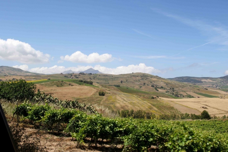 TREKKING PISPISA